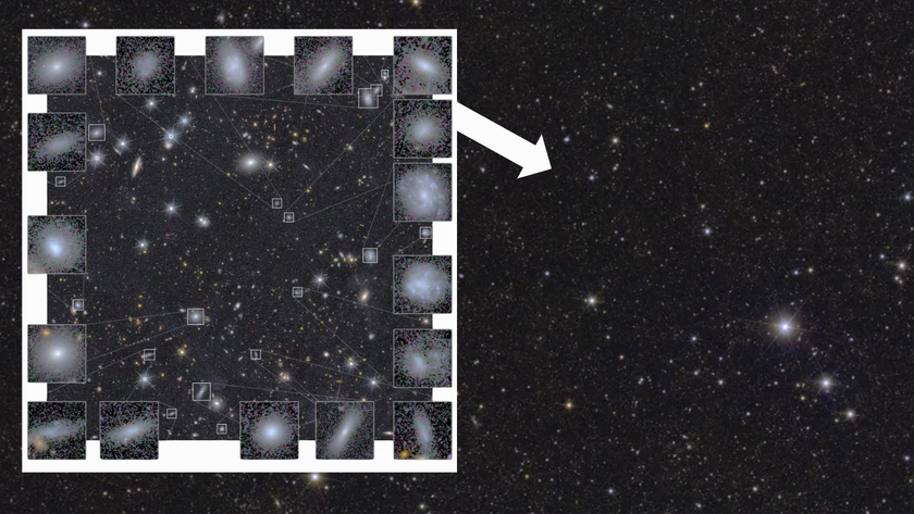 A vast array of galaxies seen by Euclid (Inset)Some of the dwarf galaxies seen in Euclid data