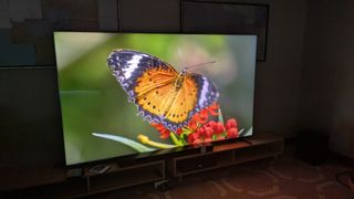 TCL C8K 98-inch with butterfly on screen 