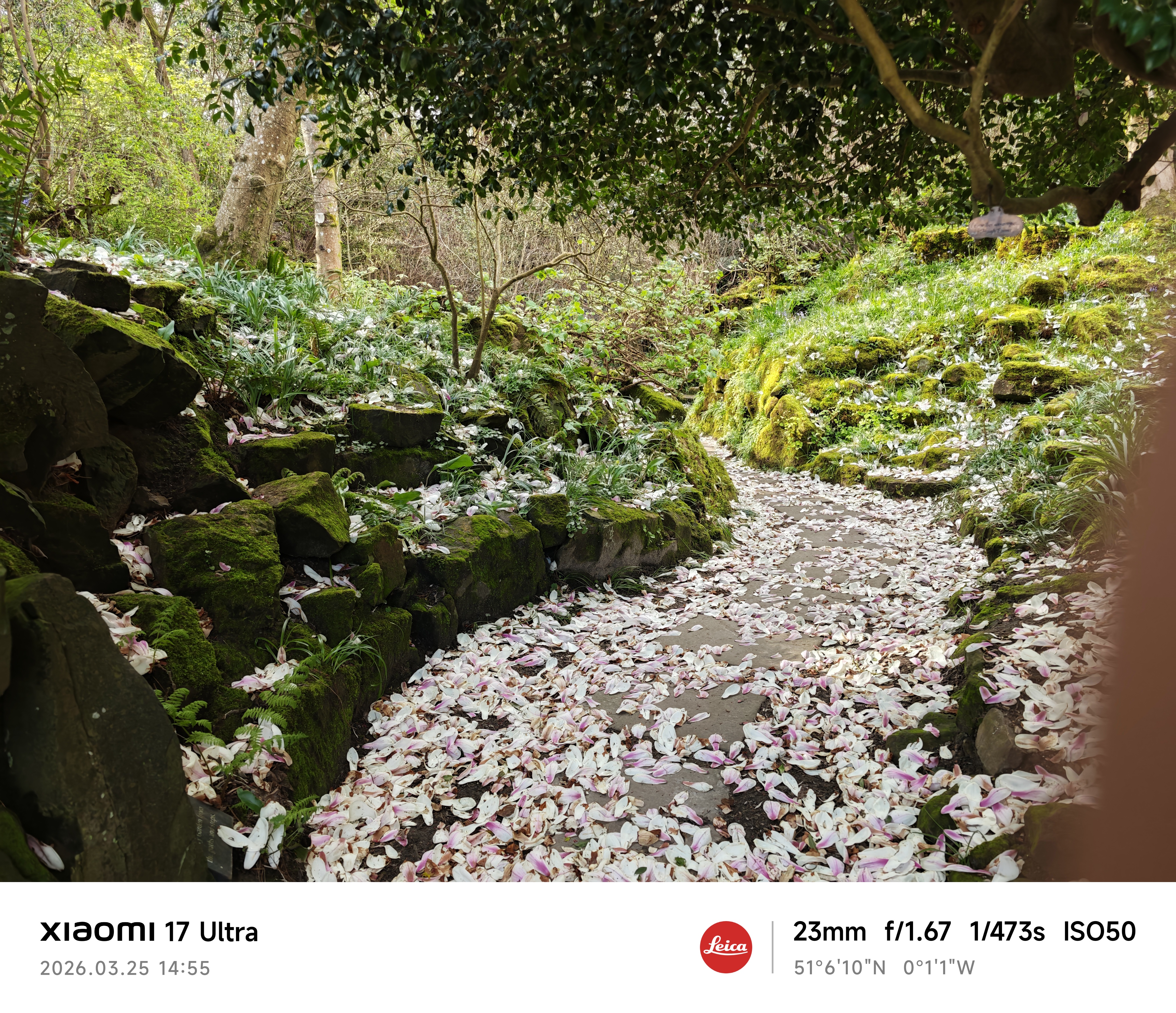 Xiaomi 17 Ultra camera sample blossom