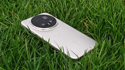 The Honor Magic 8 Pro lying in some wet grass