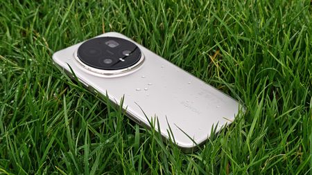 The Honor Magic 8 Pro lying in some wet grass
