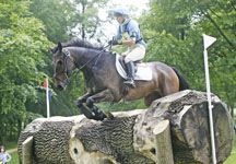 brialands-blackberry-dm-hr.jpg