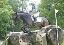 brialands-blackberry-dm-hr.jpg