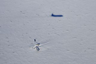 IceBridge's P-3 research plane shadows over the Kee Bird