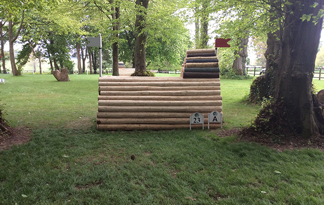 Badminton Fences 2017