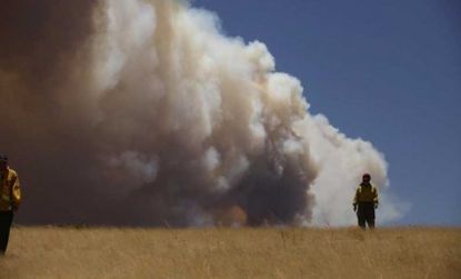 An officer walks through a field as smoke billows over Arizona's White Mountains: An eastern Arizona wildfire has been blazing out of control for nearly two weeks.
