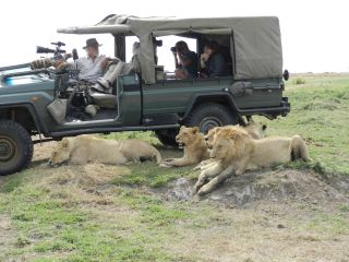 Aquí, los leones se refugiaron en la sombra creada por el coche, y a la izquierda está Dereck Joubert. Los Joubert esperan que la película ayude a la gente a apreciar lo difícil que es para los leones machos sobrevivir hasta la edad adulta y, a su vez, desalentar la caza o
