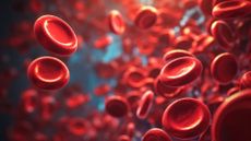An artist's rendering of red blood cells