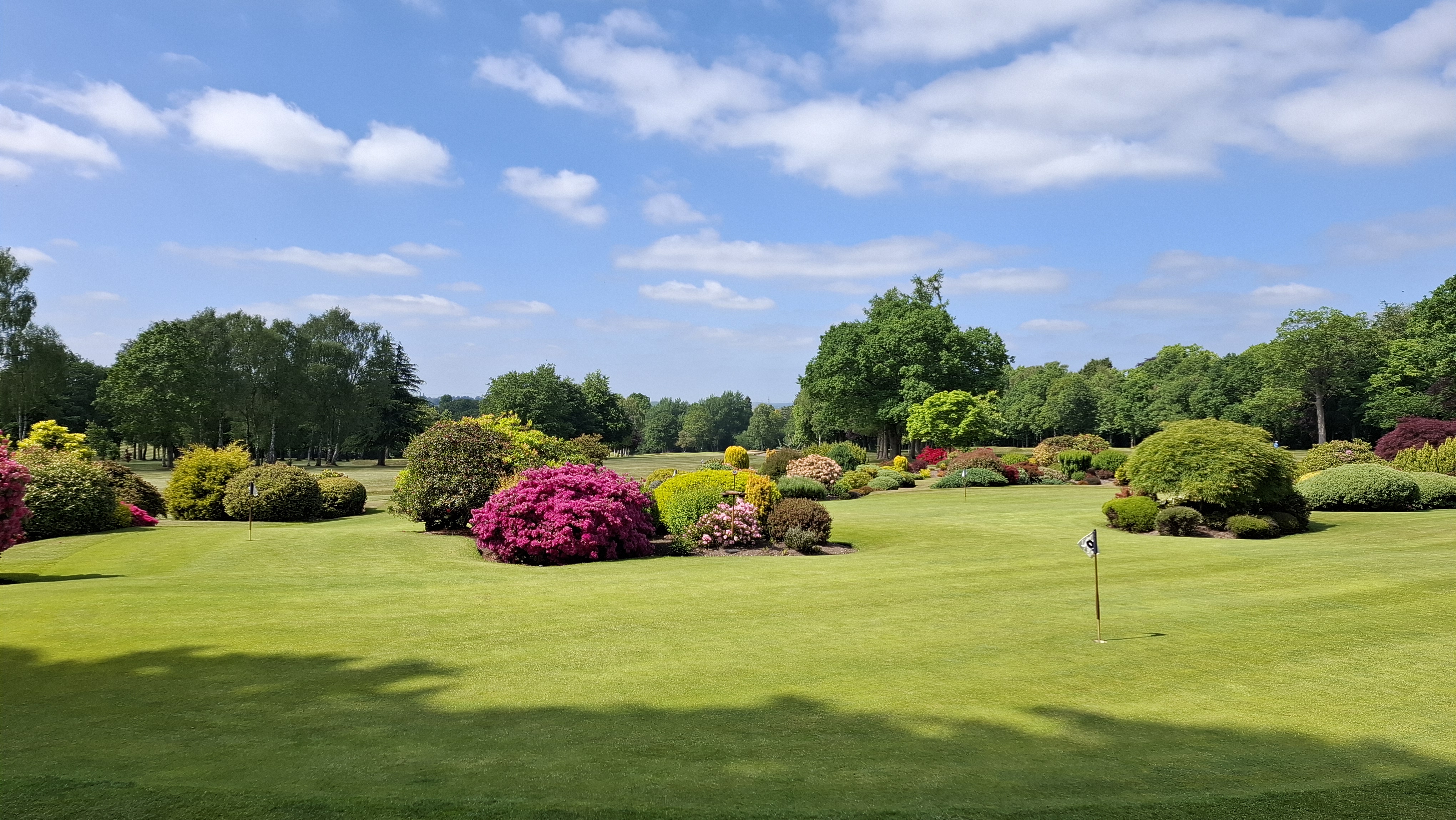 The putting green at Little Aston Golf Club