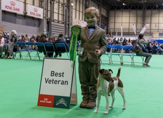 Freddie Osborne and Penny pose with best veteran rosette at Crufts