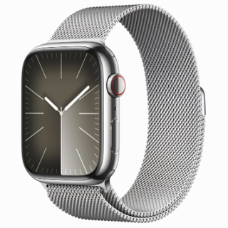 Apple Watch Series 9 Stainless Steel Silver with Milanese Loop
