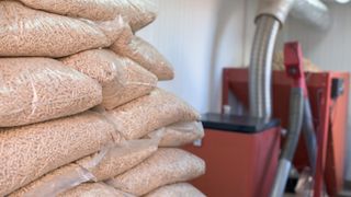 Pellets and biomass burner