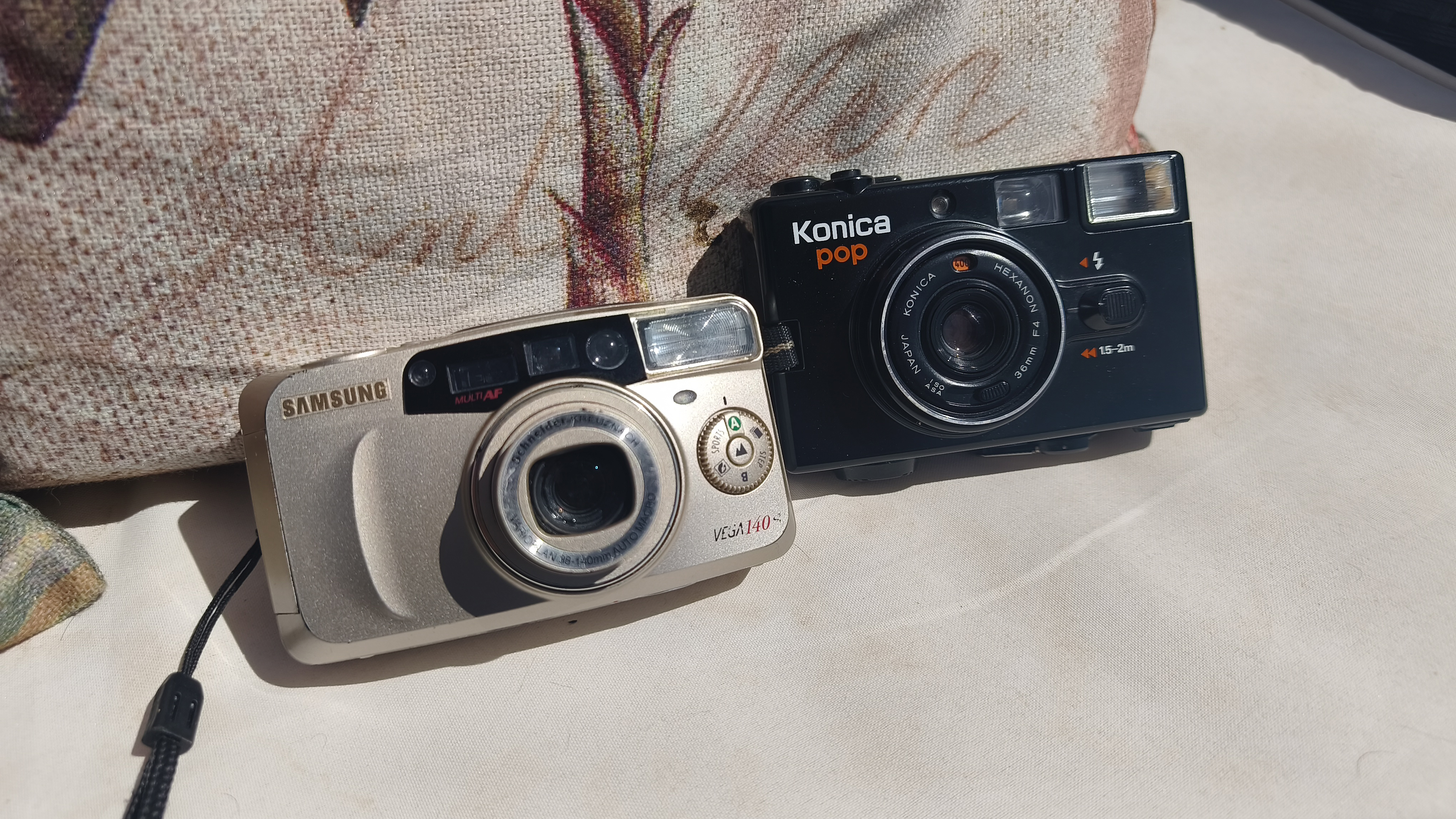 Cheap compact film cameras sitting on a garden bench
