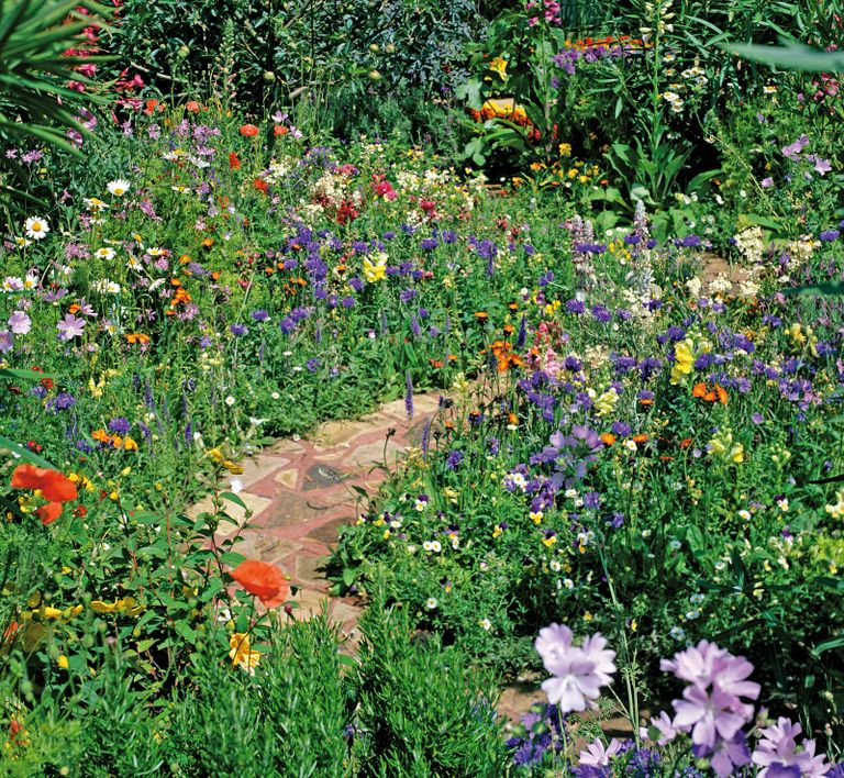 Rewilding: how to rewild your garden in 10 easy steps | Gardeningetc