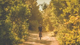 A gravel rider rides a scenic gravel track through a forest