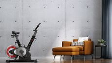 CAROL bike review: Pictured here, the CAROL bike in front of a concrete wall in a living room