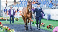 Libussa L&uuml;bbeke and Caramia FRH at the eventing World Championships first trot-up in Aachen, in August 2026. 