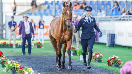 Libussa L&uuml;bbeke and Caramia FRH at the eventing World Championships first trot-up in Aachen, in August 2026. 