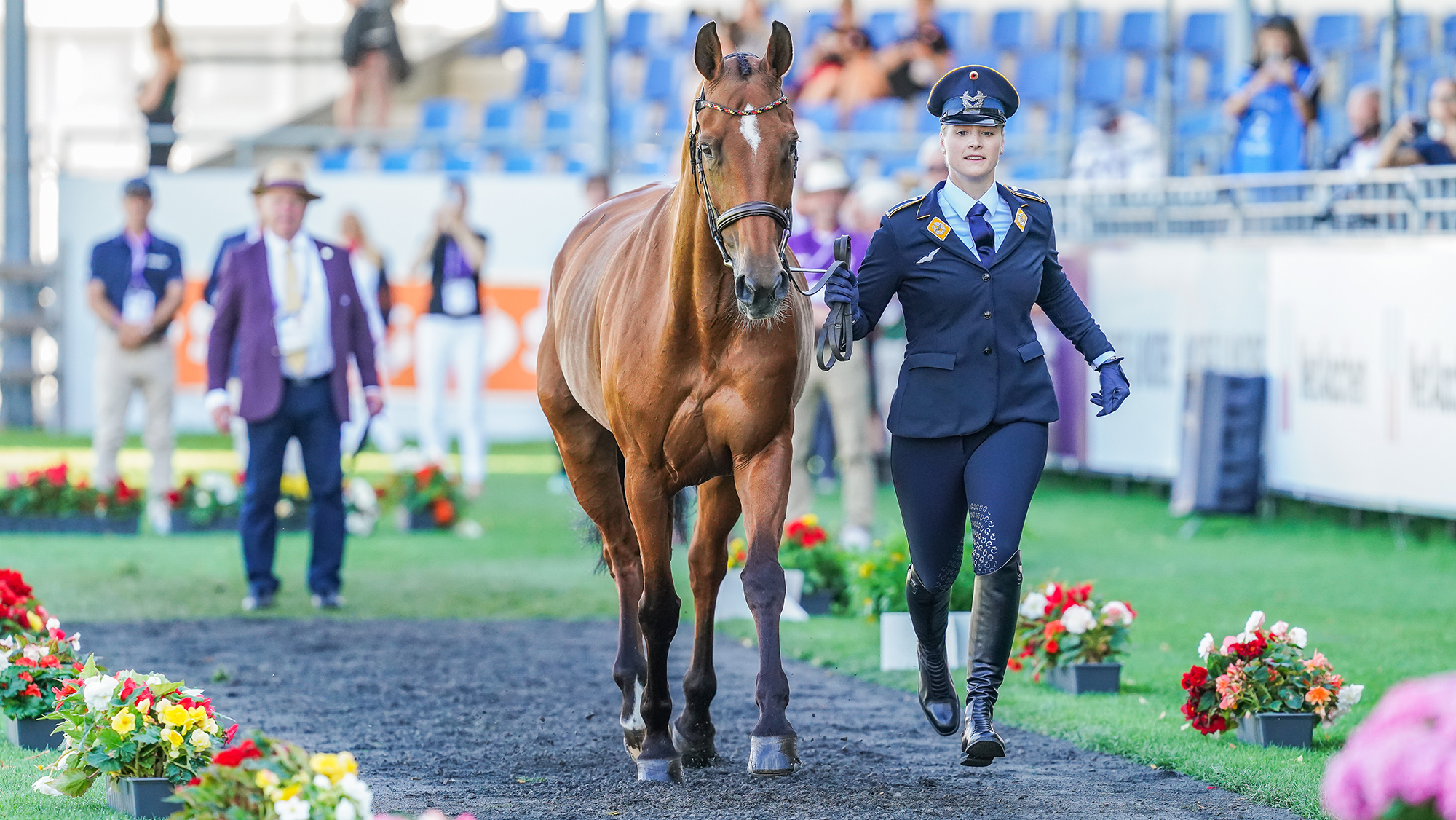 Libussa L&uuml;bbeke and Caramia FRH at the eventing World Championships first trot-up in Aachen, in August 2026. 