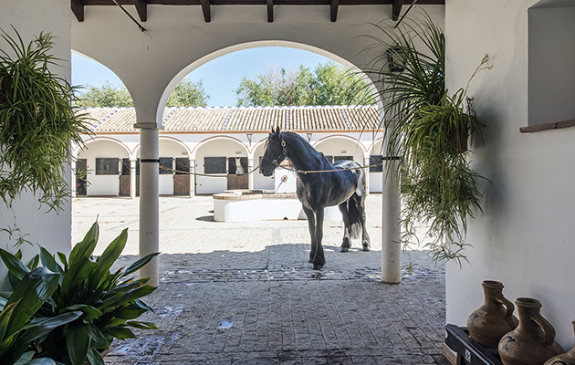 Available-at-a-guide-price-of-13.500.000-EUR-through-Kristina-Szekely-Sotheby%E2%80%99s-International-Realty-10.jpg