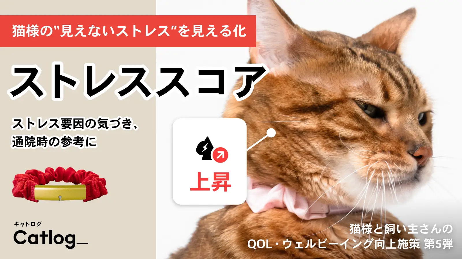 Catlog AI-powered smart collar