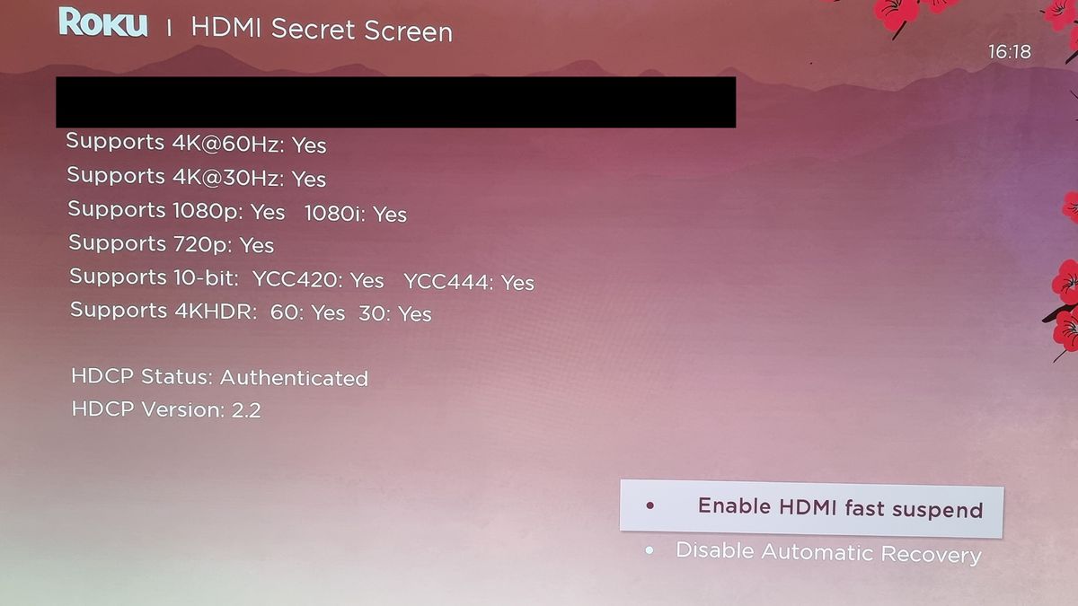 5 secret Roku menus to get to know your streaming device better than