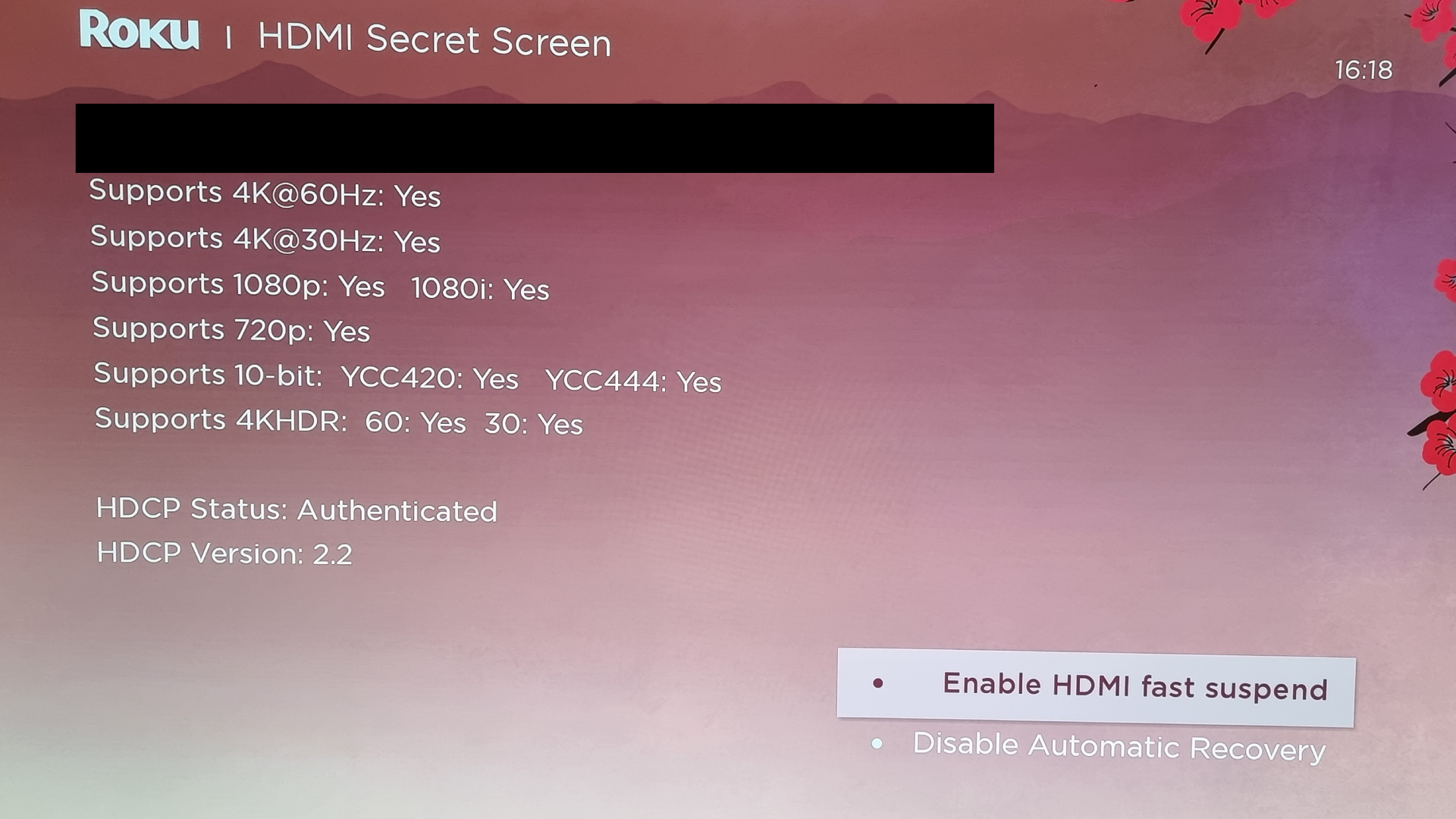 Menu rahasia Roku HDMI