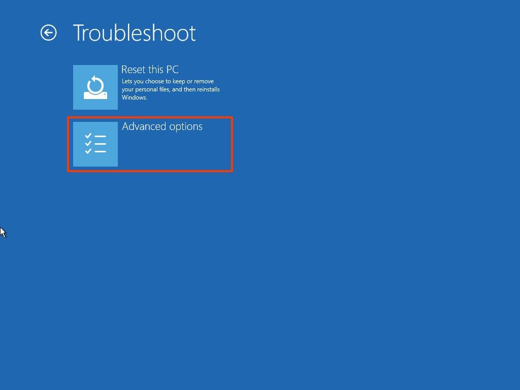 Troubleshoot Advanced Options