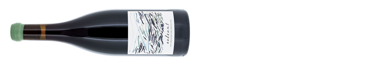 Audeant-Wines-Luminous-Hills-Pinot-Noir-Willamette-Valley-Oregon-2021.jpg