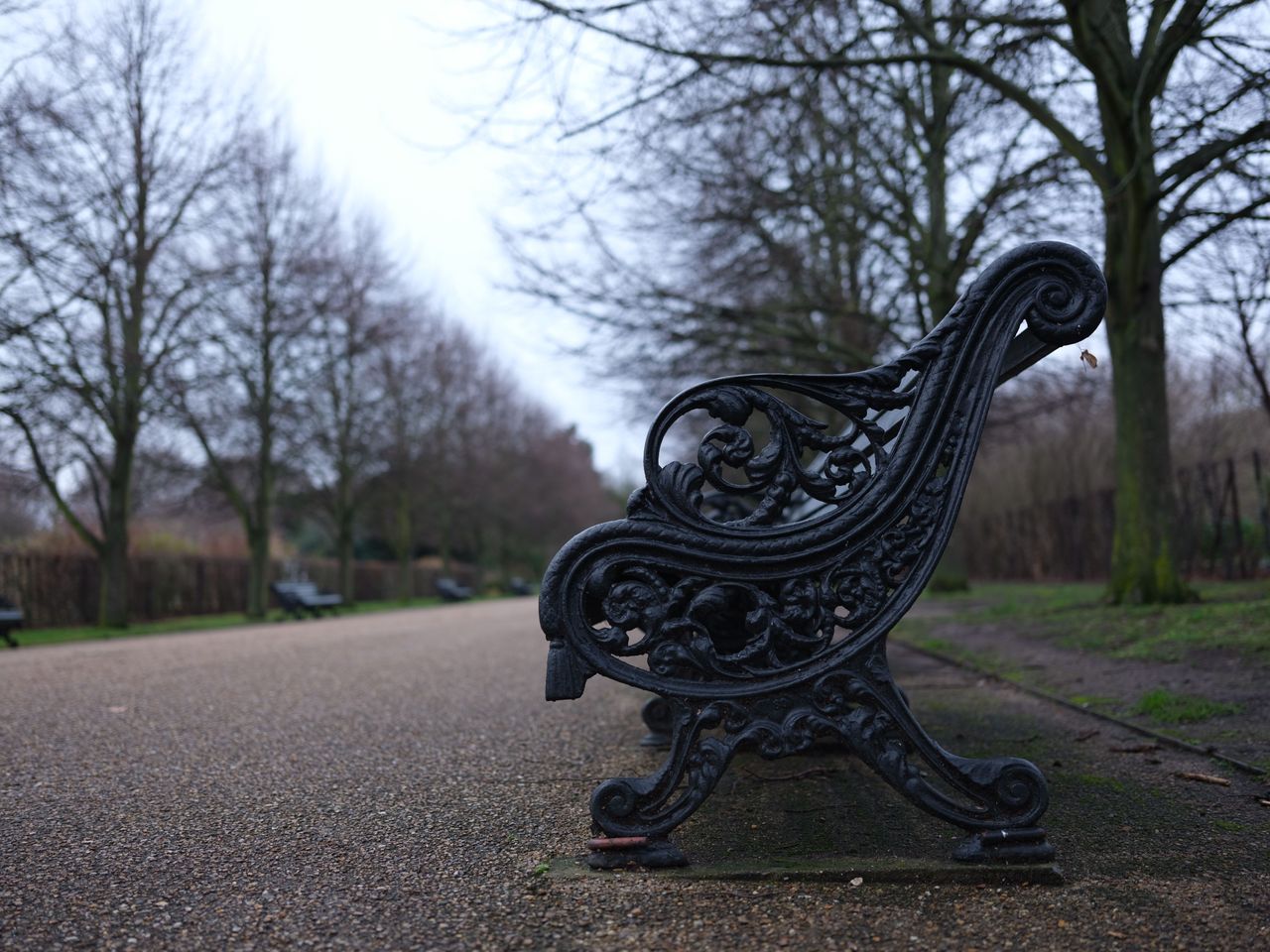 Fujifilm GFX 50R with GF 45mm f/2.8 R WR | 1/125 sec at f/2.8, ISO250. Image Credit: TechRadar