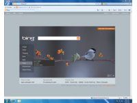 IE8