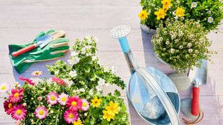 Benefits of nature: flowers and plants with watering can
