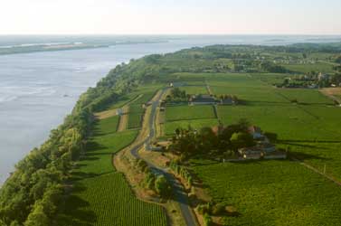 C&ocirc;tes de Bourg vineyards