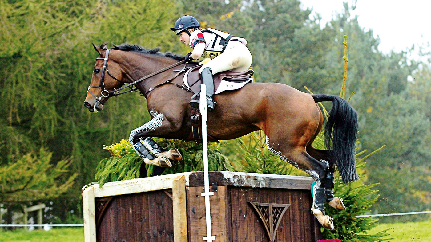 Weston Park Horse Trials October 2008