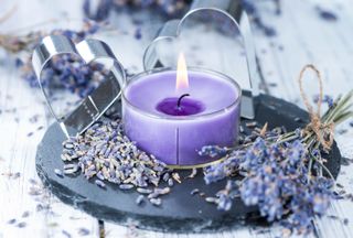 Lavender Candle (close-up shot) with dried plants on bright background