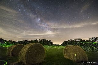 Indiana Fireflies