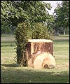 blenheimjump.jpg
