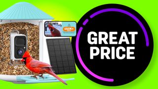 This smart bird feeder camera identifies 6,000 species &mdash; and it's now just &pound;99 in the Amazon sale