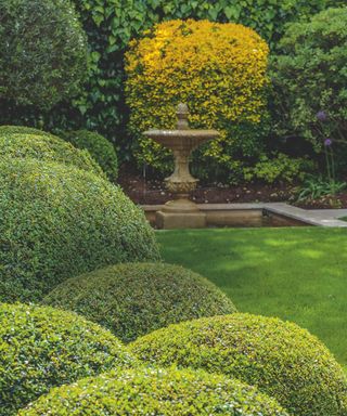 small London garden with round hedges and fountain