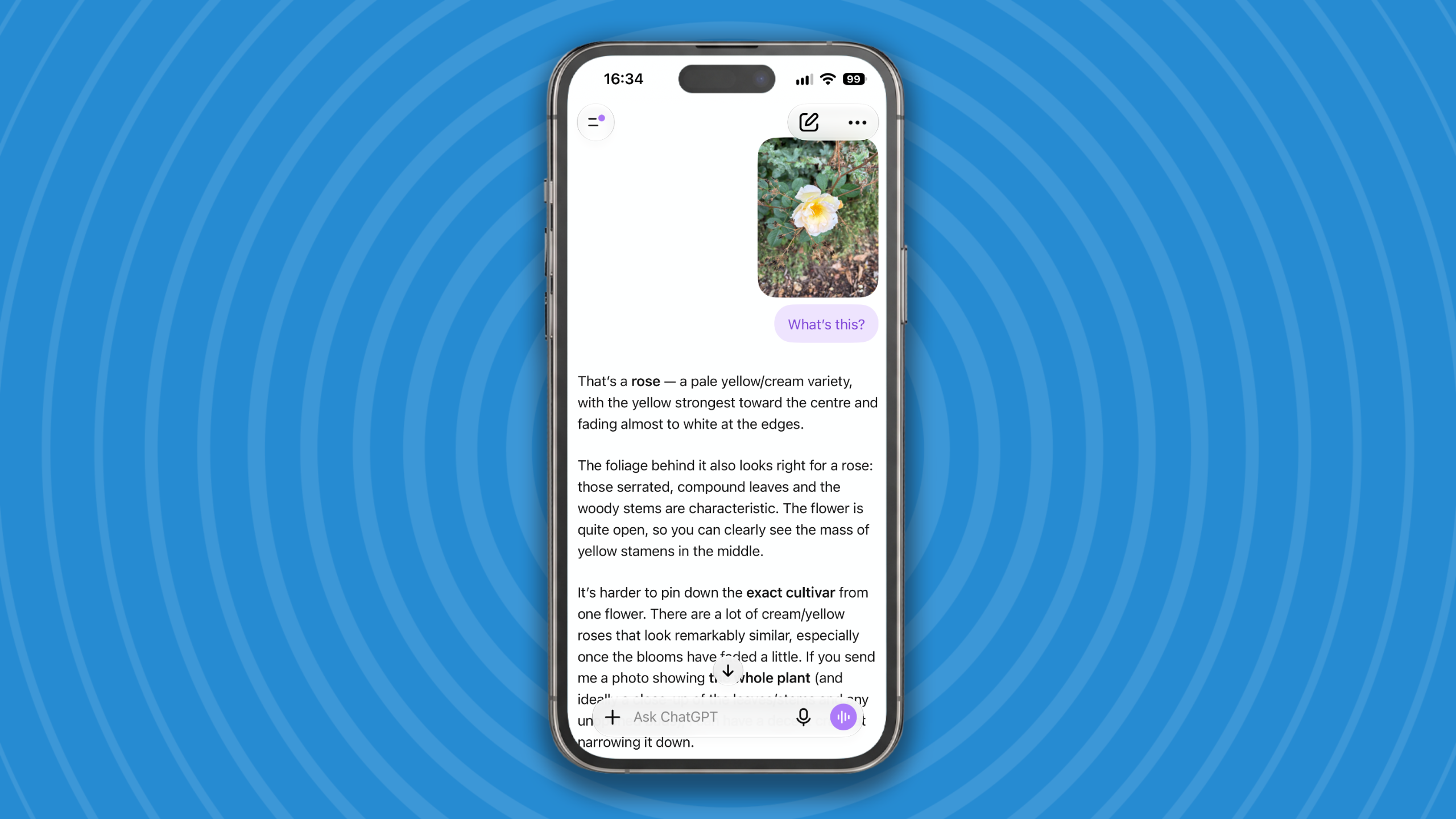 ChatGPT on an iPhone.