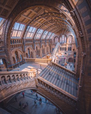 The Natural History Museum pictured by Hazel Parreno / British Photography Awards