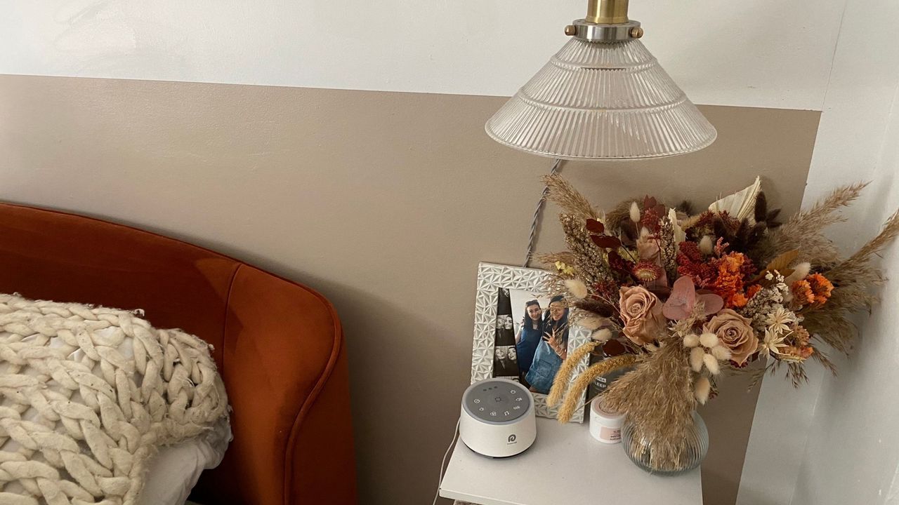 Dreamegg D11 white noise machine in white sitting on white floating nightsand with lamp above, photo frame behind and vase with dried flowers next to it. Deep red velvet bed frame in shot.