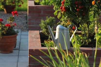 A garden with brick raised beds and a watering can