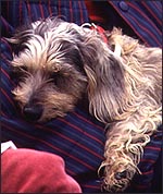 932002BF-F1ED-4D7C-BF47-6EBBDBC93C07.jpg