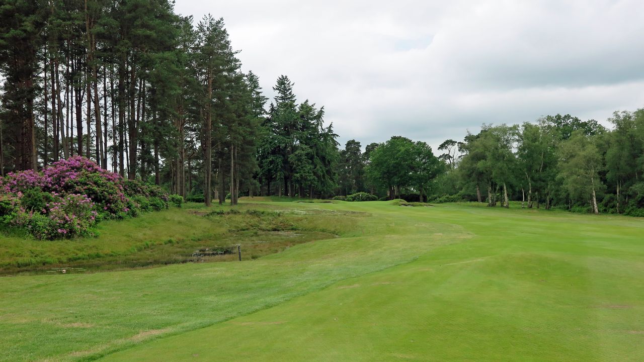 Liphook - Hole 10