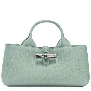 bolso lonchamp le roseau