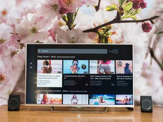 The Feature: Smart TV Interface