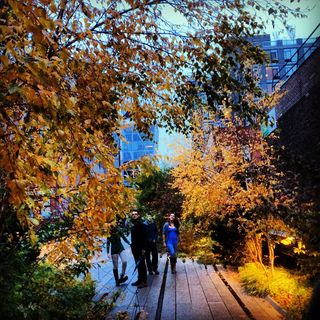 Will a future Manhattan continue to embrace innovative structures like the city's High Line, which integrates nature with the city streetscape while encouraging pedestrian transit? Mannahatta 2409 enables students, designers and urban planners to explore their own visions.