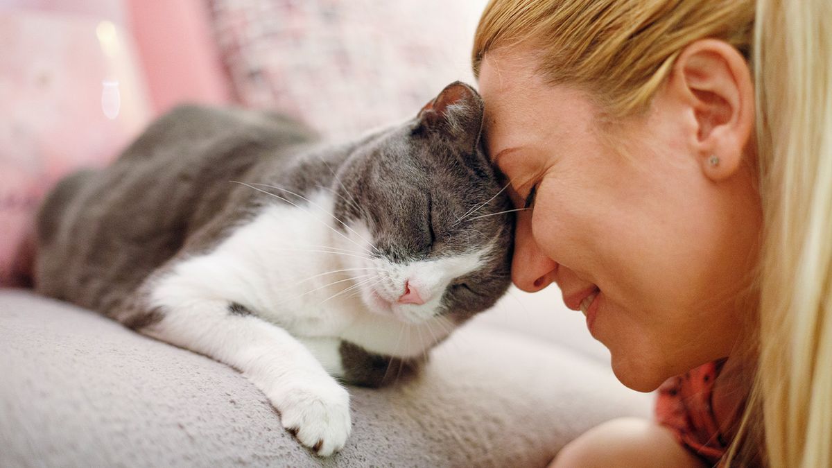 Cat owner and cat celebrating National Cat Day