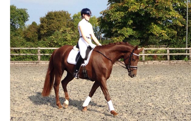 Chloe Vell and Dive